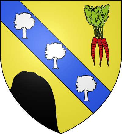 Blason de la commune Montigny-en-Arrouaise