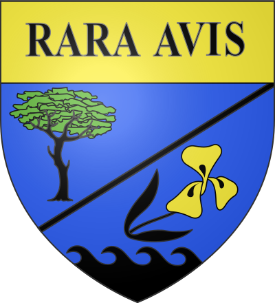 Blason de la commune Saint-Augustin