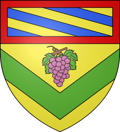 Blason de la commune Viévigne