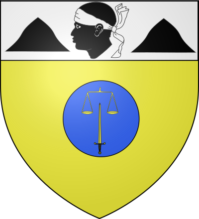 Blason de la commune Vico