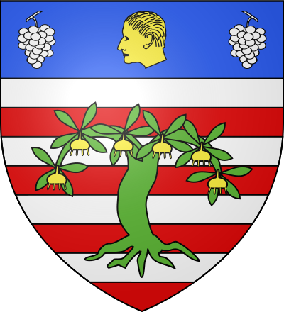Blason de la commune Parçay-Meslay