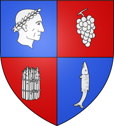 Blason de la commune Soings-en-Sologne