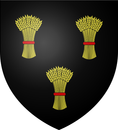 Blason de la commune Sin-le-Noble