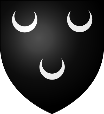 Blason de la commune Solesmes