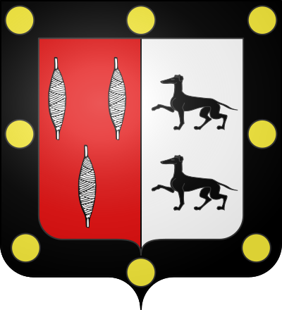 Blason de la commune Ancizan